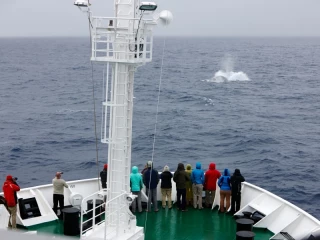 No aparece ni en Google Maps: la artimaña inglesa que borra de la historia la hazaña española de Francisco de Hoces