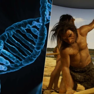 Acabamos de descubrir que el 20% de nuestro ADN procede de una desconocida población homínida: la Población B