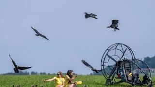 La muerte a tiros en Extremadura de seis aves en peligro de extinción: "Detrás de esto está el discurso del odio"