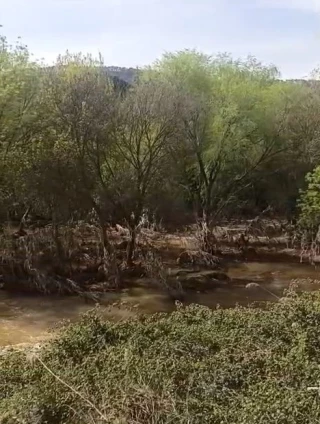 Exigen la retirada de las “toallitas” que se siguen vertiendo en las riberas de los ríos madrileño