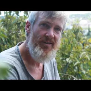 Dejó los Estados Unidos hace 20 años y construyó un bosque en España