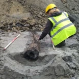 Tubería de agua romana de madera descubierta en Lovaina (ENG)