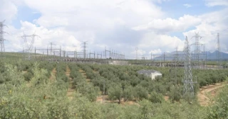 En busca de la subestación de Granada donde empezó el gran apagón: 47 candidatas ante la sorpresa de las eléctricas