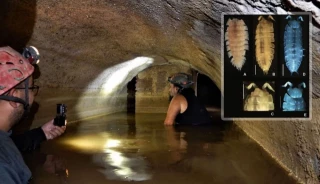 Hallazgo histórico en Andalucía: descubren a un invertebrado oculto durante 2.000 años bajo tierra