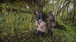 Hallan en la selva de Perú el mayor complejo arqueológico en 45 años