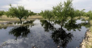«Marea negra» en el campo de Murcia tras una fuga de petróleo en el oleoducto que une Cartagena y Puertollano