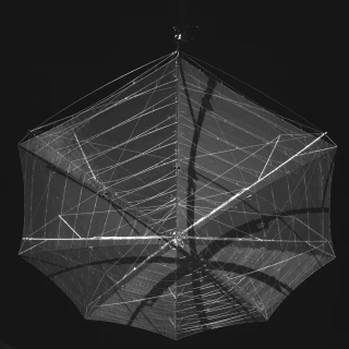 Biomass, el satélite europeo para estudiar la biomasa incapaz de observar Europa