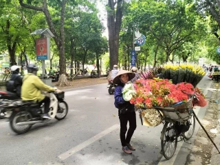 Vietnam, un viaje entre naturaleza, sabores e historia