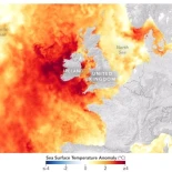 Satélites captan calor récord en las aguas del noroeste de Europa