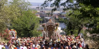Pelea multitudinaria en el camino al Rocío de la hermandad de Triana en Bormujos