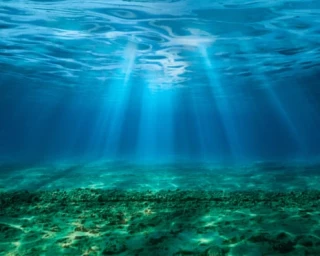 «Bomba de relojería»: la acidez del mar ha alcanzado niveles críticos y amenaza ecosistemas enteros, según un estudio