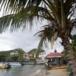 Científicos franceses descubren un nuevo grupo sanguíneo en una mujer de Guadalupe [ENG]