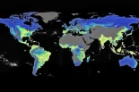 Científicos crean el primer atlas global de hongos subterráneos del mundo, capturan 13.000 millones de toneladas de CO2 al año y están en riesgo por falta de protección legal