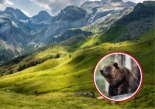 La huida de un oso en los Pirineos en mitad de la noche que ha terminado con dos jóvenes en el hospital