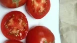 Un tomate casi extinguido de Aragón arrasa como Mejor Tomate de España en la VII Feria Nacional del Tomate Antiguo