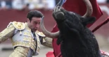 La tauromaquia consigue un récord de subvenciones de 2,4 millones de euros con la asistencia a eventos taurinos en mínimos: Madrid y Castilla y León lideran la financiación