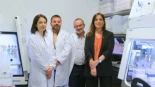 El Instituto de Bioingeniería de Cataluña logra crear e integrar organoides humanos en el riñón de un cerdo