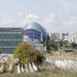 Las lamas del ágora de Valencia: una chatarra de 13 millones de Calatrava bloqueando una parcela de 400
