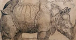 Encuentran un original olvidado del famoso rinoceronte de Durero en 1515