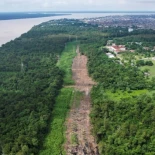 Brasil tala 100.000 árboles del Amazonas para construir una carretera para la cumbre climática Cop30 (ING)