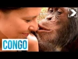 Entrevista a Rebeca Atencia y Fernando Turmo, directores del santuario para chimpancés Instituto Jane Goodall - Congo... a partir min 13:37