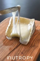 Startup francesa desarrollará caseína sin vacas para producir quesos fermentados con leche "animal-free" en 2027