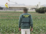 Detenido en Totana un empresario agrícola por explotar laboralmente a diez personas