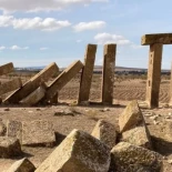 Descubren en Tunez la segunda prensa de aceite romana más grande del imperio (IT)