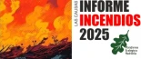 Incendios forestales, el eterno problema sin solución