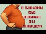 El tejido adiposo como determinante de la aterosclerosis