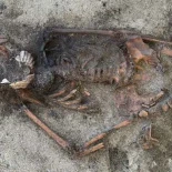 Encuentran enterrada a una mujer de la época vikinga con conchas de vieira en la boca