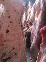 Los mataderos de Castilla y León alertan de una situación “crítica e insostenible” por el desplome del ovino y vacuno