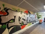 Multa de 6.000 euros para el grafitero que vandalizó el mural de San Martín