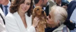 Ayuso renueva la terapia con perros para víctimas de violencia machista a una entidad “sin experiencia en animales ni feminismo”