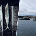 En 2001 un yate se refugió en una isla remota del Atlántico. Días después sus habitantes empanaban pescado con coca