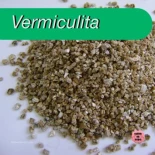 Aprovechando la Vermiculita: La Clave para un Cultivo Exitoso