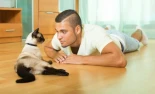 Se confirma que los gatos maúllan más a los hombres porque las mujeres los captan antes