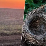 Rusia está ganando metro a metro la guerra en Ucrania gracias a una tecnología de lo más simple: fibra óptica