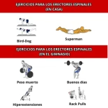 Mejores ejercicios para los erectores espinales y la espalda baja