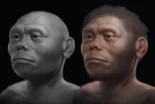 Por primera vez, se vincula la extinción del Homo floresiensis con una sequía prehistórica que duró 15.000 años: investigadores reconstruyen el colapso ecológico que acabó con los “hobbits” de Flores
