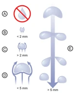 La verdadera forma de las gotas de agua