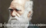 Darwin no fue un despiadado darwinista: cómo la ley del más fuerte tergiversa su teoría