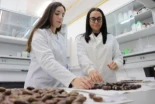 Un estudio de la Universidad de Córdoba confirma las propiedades nutricionales de la bellota