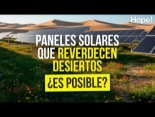 El mayor campo solar de China reverdece un desierto... por accidente - (video)