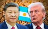 China desafía a EE.UU. y compra 65.000 toneladas de trigo argentino por primera vez en décadas mientras Milei baja aranceles