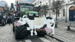 Disturbios y cargas policiales contra miles de agricultores en pie de guerra en Bruselas: "Las reformas que se plantean son suicidas"