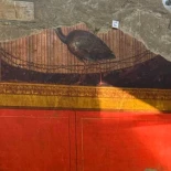 La refinada Sala de la Máscara y el Pavo Real de Villa Popea revela sus verdaderas dimensiones y riqueza decorativa. Los primeros frescos han emergido del sitio de excavación y restauración (IT)