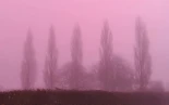 Una niebla rosa cubre el Reino Unido y la explicación a este fenómeno es física [ITA]