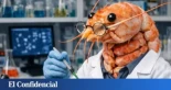 La lacra de los estudios hechos con inteligencia artificial está destrozando la ciencia