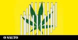De 3.000 a 600.000 euros por regalar productos con el dibujo de la hoja de marihuana: la nueva ley de la Xunta